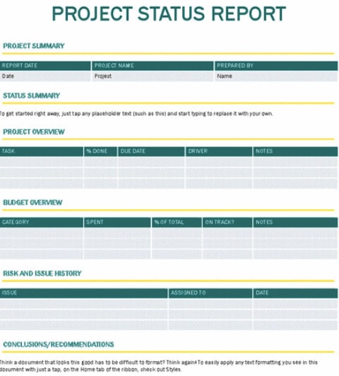 5 Free Project Status Report Templates 3