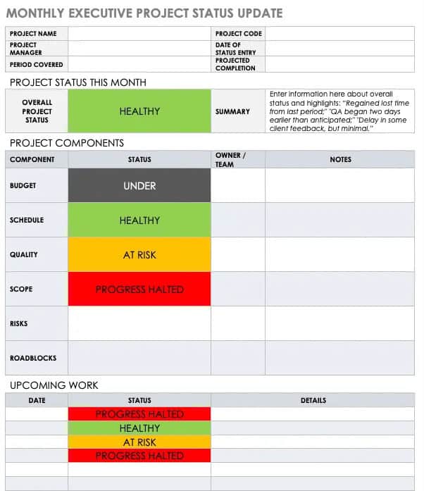 11 x Executive Project Status Report Template – Word, Excel 6