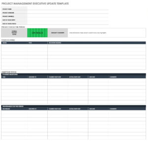 11 x Executive Project Status Report Template – Word, Excel