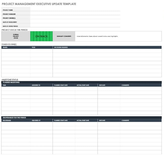 11 x Executive Project Status Report Template – Word, Excel 7