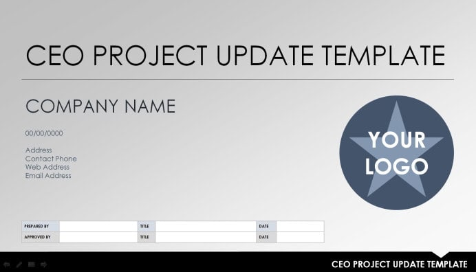 11 x Executive Project Status Report Template – Word, Excel 9