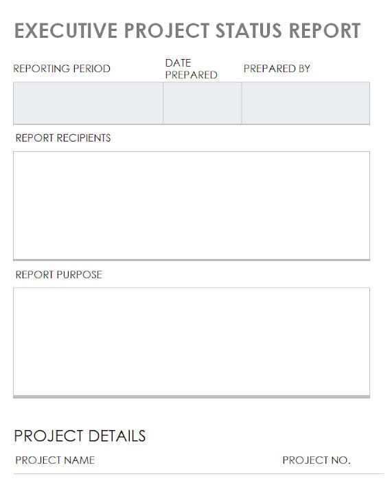 11 x Executive Project Status Report Template – Word, Excel 1
