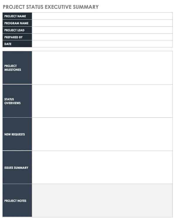11 x Executive Project Status Report Template – Word, Excel 2
