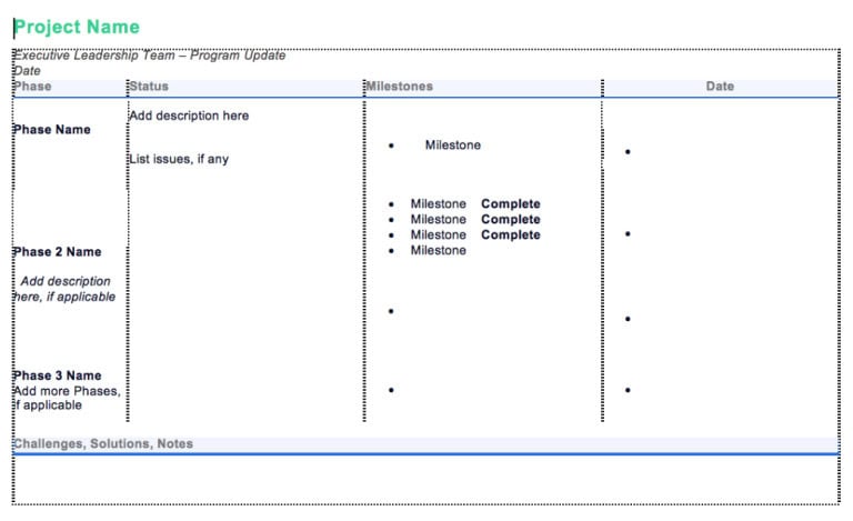 11 x Executive Project Status Report Template – Word, Excel 4