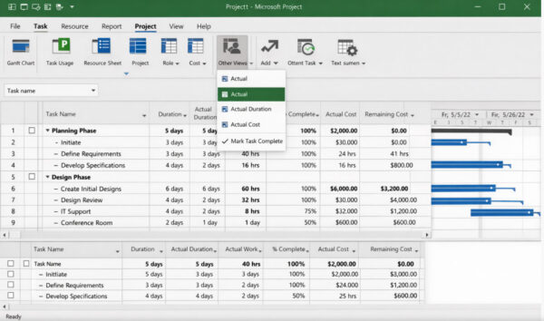 How to Calculate Earned Value in Microsoft Project